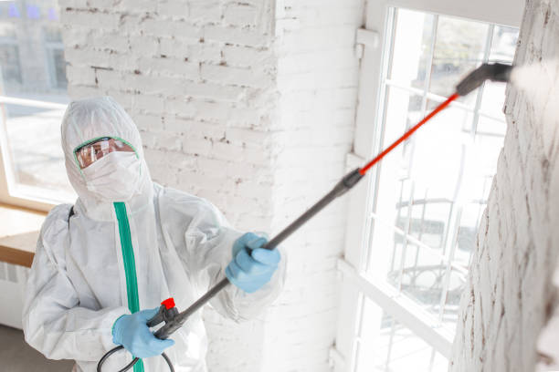 Dehumidification Services in Eagle Point, AL