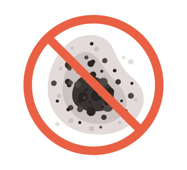 Best Residential Mold Inspection & Testing  in Eagle Point, AL