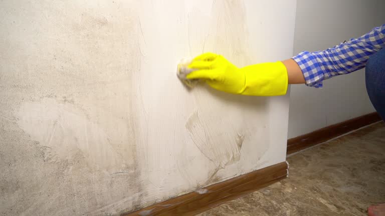 Best Biohazard Mold Removal  in Eagle Point, AL