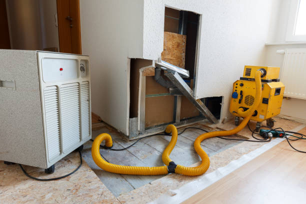 Best Mold Remediation for Healthcare Facilities  in Eagle Point, AL
