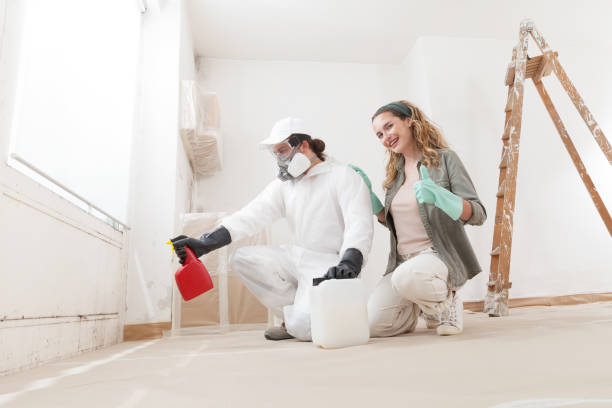Best Emergency Mold Remediation  in Eagle Point, AL